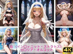 IS 〈イン〇ィニット・ストラトス〉セ〇リア・オルコット 画像集(さーくるP4) [d_375675]