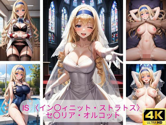 IS 〈イン〇ィニット・ストラトス〉セ〇リア・オルコット 画像集(さーくるP4) [d_375675]