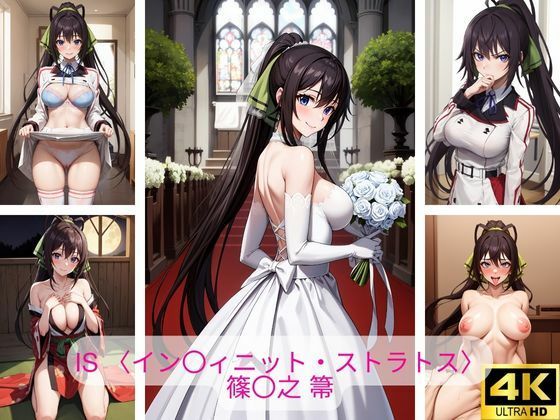 IS 〈インフィニット・ストラトス〉篠〇之 箒 画像集(さーくるP4) [d_375726]