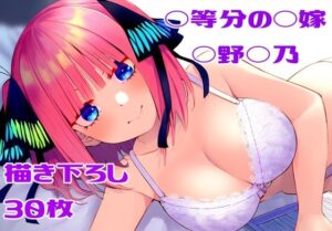 ◯等分の◯嫁 ◯野◯乃(フェリスシルキー) [d_378768]