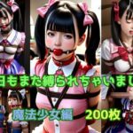 今日もまた縛られちゃいました〜魔法少女編〜(くろねこ倶楽部) [d_381654]