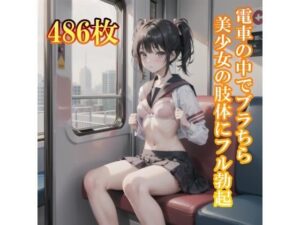 電車で制服美少女にブラちらお願い。美しい肢体にフル勃起(制服あーと) [d_383571]