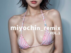 miyochin_remix VOL.1(miyochinAI) [d_385289]