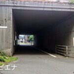 習作1(ビビエナ) [d_393219]