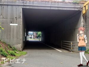 習作1(ビビエナ) [d_393219]