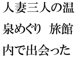 人妻三人の温泉めぐり 旅館内で出会った男の子と(逢瀬のひび) [d_399332]