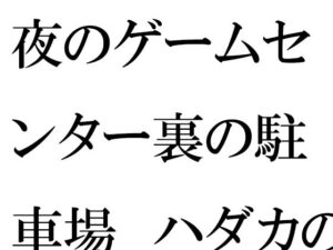 夜のゲームセンター裏の駐車場 ハダカの男女の出会いとエッチ(逢瀬のひび) [d_404403]