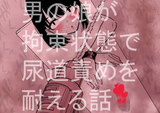 男の娘が拘束状態で尿道責めを耐える話(蜂蜂蜂) [d_405129]