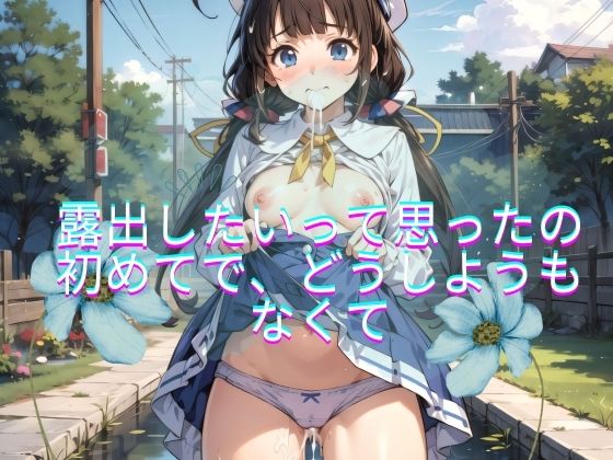 露出したいって思ったの初めてで、どうしようもなくて(おもちゃ箱) [d_396606]