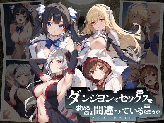 ダンジヨンでセックス求めるのは間違っているだろうか(王さん) [d_396866]