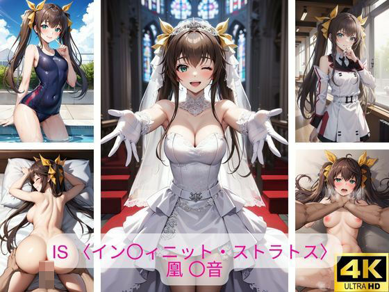 IS 〈イン〇ィニット・ストラトス〉凰〇音 エロ画像集(さーくるP4) [d_400728]