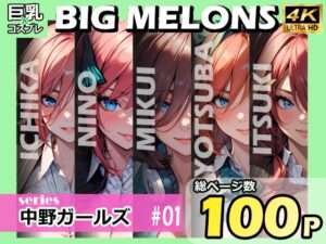 BIG MELONS series中野ガールズ ＃01(びっくめろん) [d_401143]