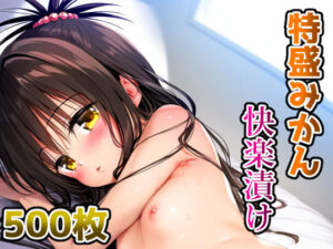 特盛みかん 快楽漬け(AILO屋) [d_405207]