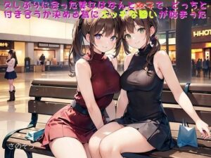 【お気軽小説】久しぶりに会った美女はなんと双子で、どっちと付き合うか決める為にエッチな闘いが始まった(さのぞう) [d_413707]