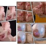 溢れている母乳汁II(NFTのエロ子) [d_418806]