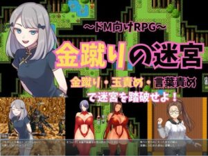 〜ドM向けRPG〜金蹴りの迷宮(よわよわM男) [d_425423]
