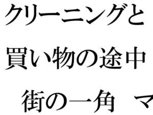 クリーニングと買い物の途中 街の一角 マンション軒先での出会い(逢瀬のひび) [d_426547]