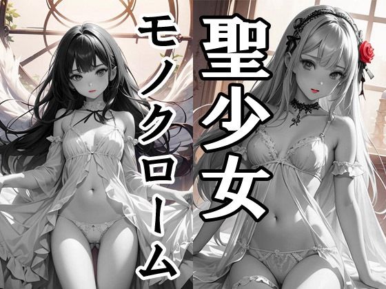 聖少女モノクローム(闇妖精) [d_390606]