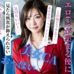 エロCAが集まる便にご搭乗頂き誠にありがとうございます(NINJYA) [d_404044]