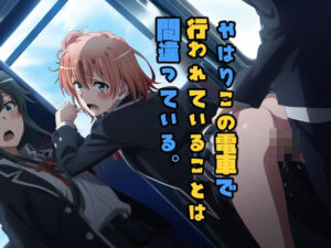 やはりこの電車で行われていることは間違っている(NIJINIJIAI) [d_406977]