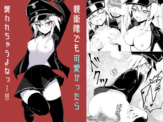 親衛隊でも可愛かったら襲われちゃうよね・・・！！(ノーデンフェルト) [d_414831]