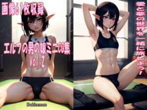 エルフの男の娘ミニCG集 Vol.2(Bokkemon) [d_415249]