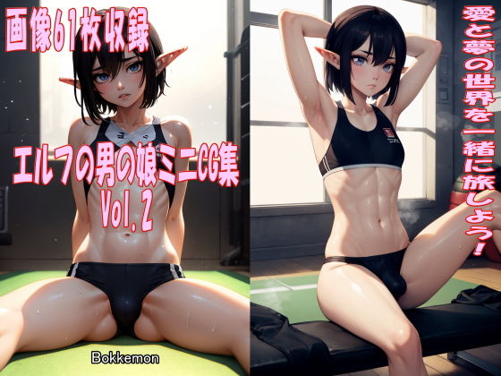 エルフの男の娘ミニCG集 Vol.2(Bokkemon) [d_415249]