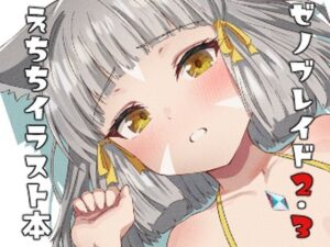 ゼノブレイド2・3えちちイラスト本(ShaDraw) [d_415826]