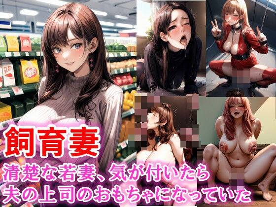 飼育妻・清楚な若妻、気が付いたら夫の上司のおもちゃになっていた(C.C.WORKS) [d_416782]