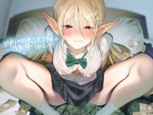 どすけべ円光エルフちゃんの強●種付けえっち【フォーリーサウンド】(テグラユウキ) [d_422983]