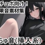 くちゅ音（挿入系）(mosoundworks) [d_429071]