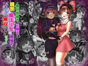 異世界帰りの元魔王は現世で魔法少女を悪堕ちさせてハーレム無双しますが何か？【ポニテお姉ちゃん編】(Tキャノン) [d_429821]