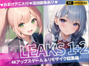 JK LEAKS 1＋2 – 4Kアップスケール＆リモザイク総集編 -【おまけアニメ付】(AniyA) [d_430232]