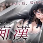 大学からの帰り道、満員電車でメチャクチャ痴●されました…(淫靡なるステラ) [d_434979]