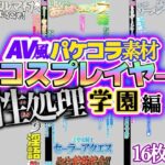 【AV風パケコラ素材】「コスプレイヤー性処理学園！」(Revcreate) [d_436416]