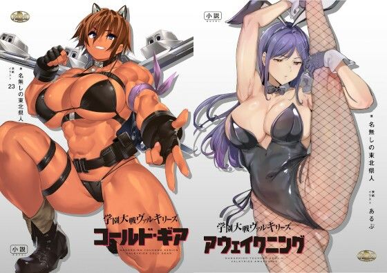 学園大戦ヴァルキリーズ コールド・ギア＆アウェイクニング リマスター版ダブルパック(ウツテンカイ) [d_438625]