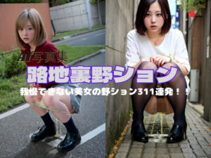 路地裏野ション(P-AI planning) [d_377959]