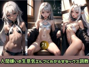 人間嫌いの生意気エルフにわからせセックス調教(総) [d_427049]