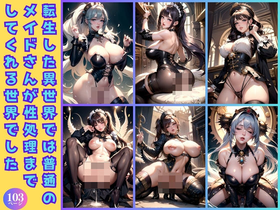 転生した異世界では普通のメイドさんが性処理までしてくれる世界でした(目玉親父) [d_430701]