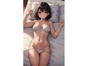 二次元美少女ランジェリー写真集（24年8月14日版その 2）(A・Iノ介) [d_433720]