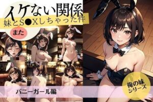 イケない関係/妹と「また」S●Xしちゃった件【バニーガール編】(妄想映像部) [d_435053]