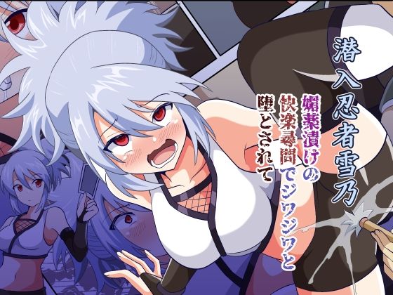 潜入忍者雪乃 媚薬漬けの快楽尋問でジワジワと堕とされて(黒いモノ) [d_436713]