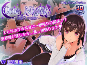 One Night 〜一夜限りの幼妻〜(bluearrowgarden) [d_437895]