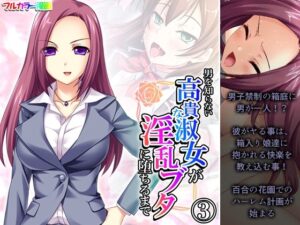 男を知らない高貴な淑女が淫乱ブタに堕ちるまで 3巻(あまからや) [d_440088]
