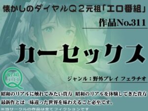 作品No.311 カーセックス(昭和エロQ) [d_446221]