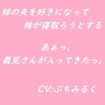 【音声作品】姉の夫を好きになってしまった妹が寝取ろうとする(ぷちみるく) [d_446529]