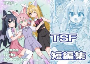トランスガールズコレクション(さね野郎) [d_446813]