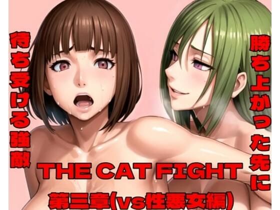 THE CAT FIGHT 第三章（vs性悪女編）(百々ドメイン) [d_447427]