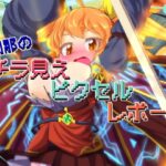 刹那のチラ見えピクセルレポート(Bee Cradle) [d_447871]