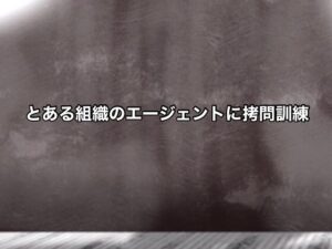 とある組織のエージェントに拷問訓練(@さう) [d_449202]